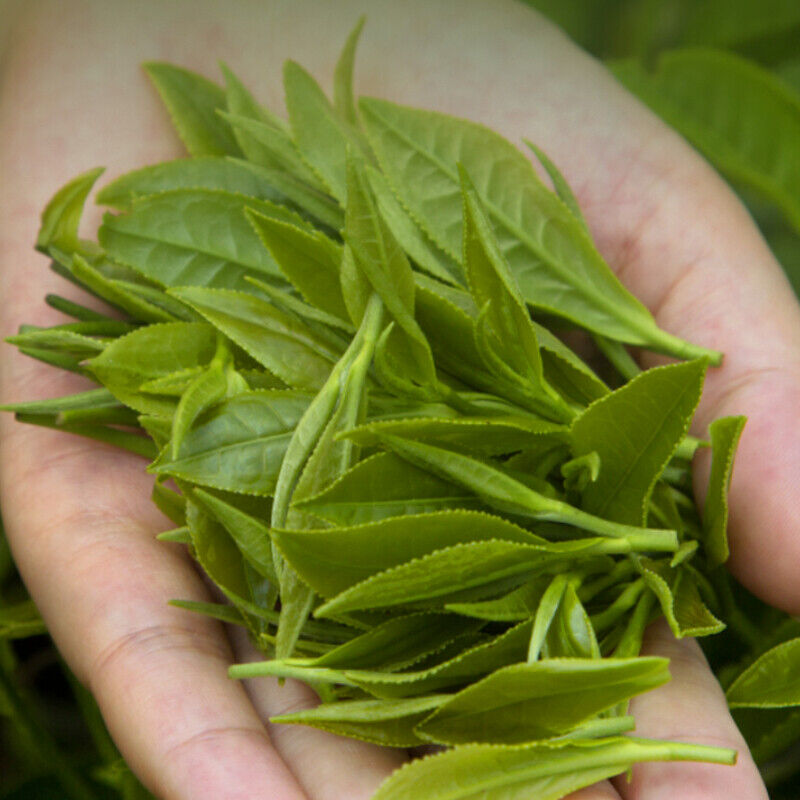 HelloYoung High Mountain Top-Grade Green Tea Gift Package Huangshan Maofeng Green Tea 250g