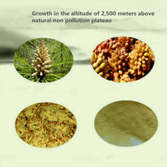 HelloYoung 3 bags*50g Wild Harvested Shell-broken Pine Pollen Powder 99% Crack Certificated