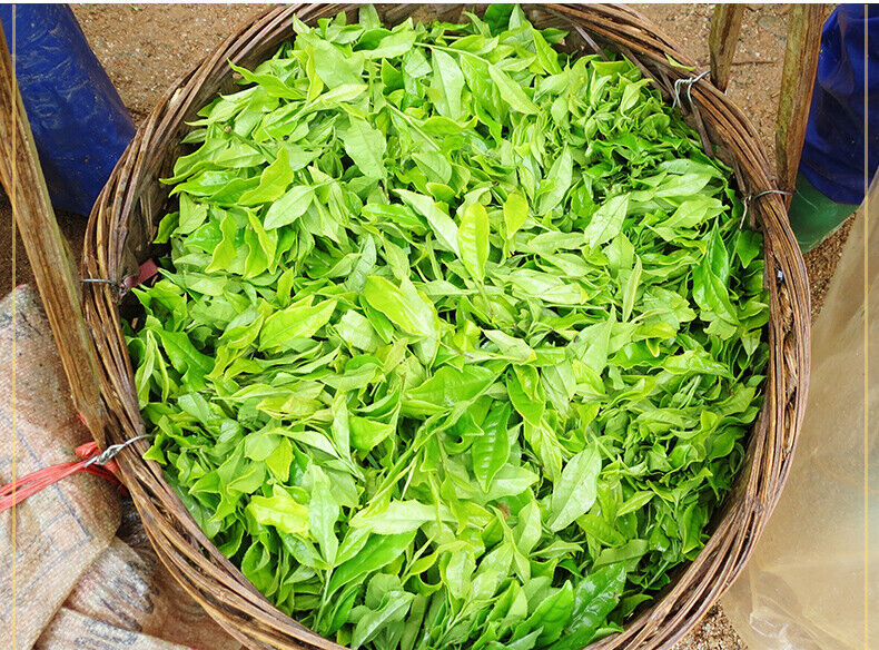 HelloYoung Da Hong Pao Wuyi Dahongpao Oolong Tea Loose Leaf Wuyi Rock Tea