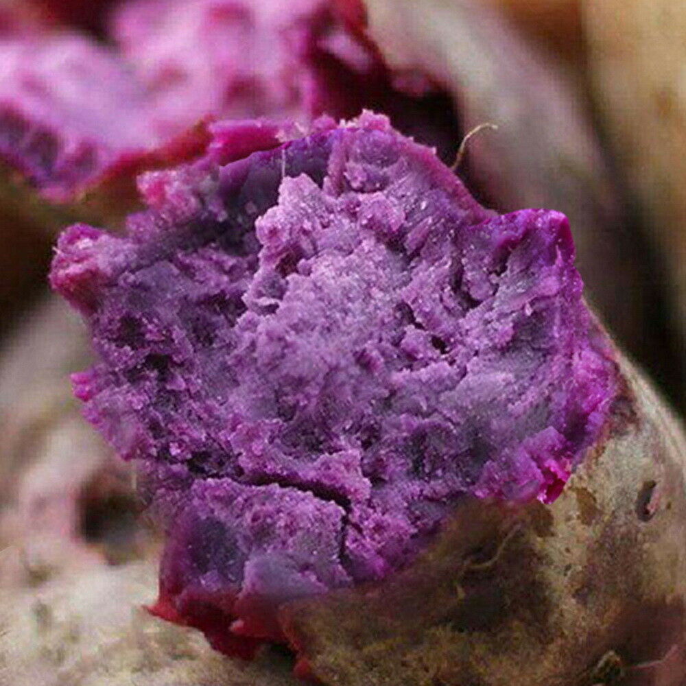 HelloYoung Organic Natural Purple Sweet Potato Powder High Antioxidant Healthy Superfood