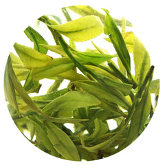 HelloYoung HELLOYOUNG Premium Spring Anji Bai Cha Long Jing White Dragon Well GREEN TEA