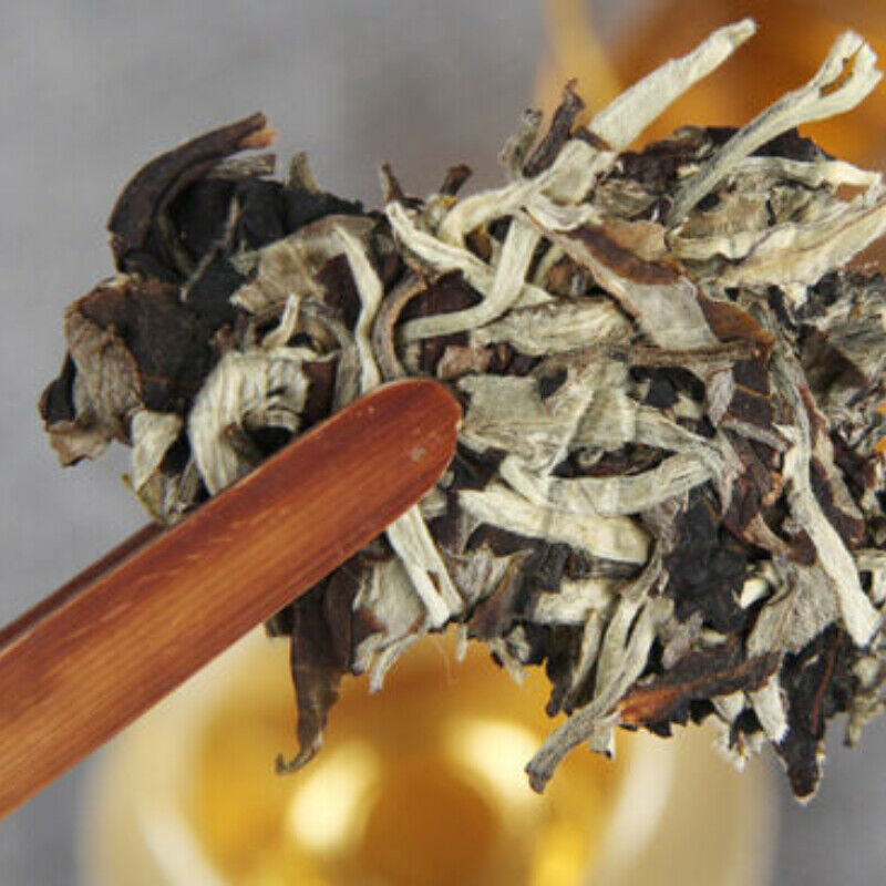 HelloYoung Moonlight Beauty Jingmai Puer Ancient Tree Pu'er Moonlight Pu-erh Cha Tea 357g