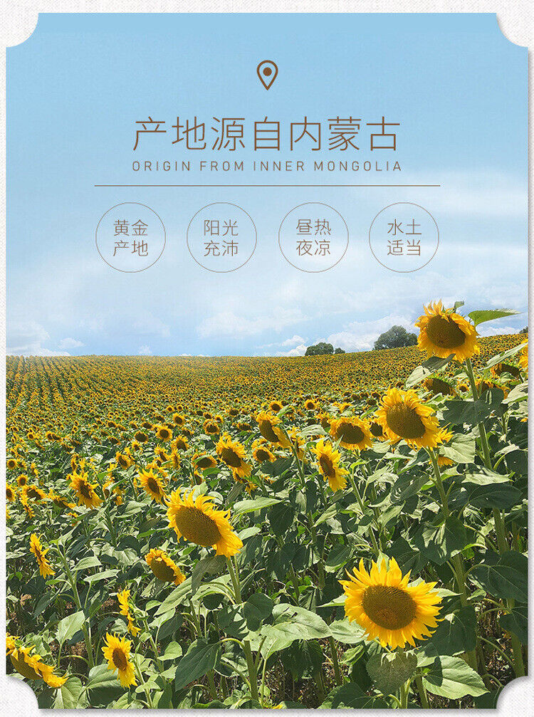 Sunflower Seeds Large Shell Melon Seeds, Flesh, Full Particles, Roasted Snacks