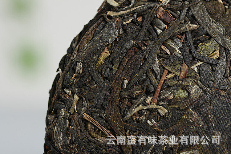 Pasha Small Cake 100g 2021 Big Tree Tea Puerh Raw Cake Yunnan Puerh Tea