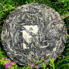 HelloYoung Health Care Natural Pu'er Tea Yiwuqingbing Organic Arbor Pu'er Tea 357g