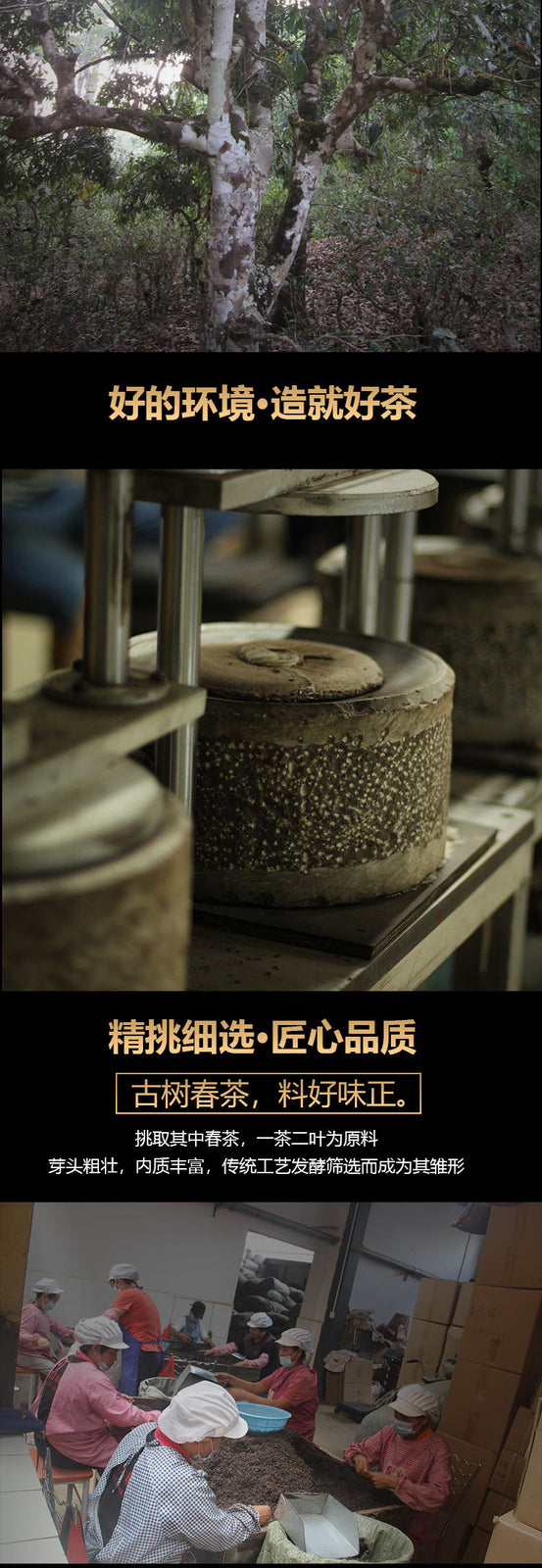 500g Yunnan Specialty Pu'er Tea Menghai Yongming Tea Factory Grain Tea Loose
