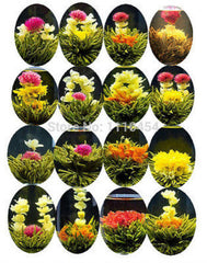 HelloYoung16 Kinds of Blooming Flower Tea Herbal Tea Great Fragrant Green Tea Handmade