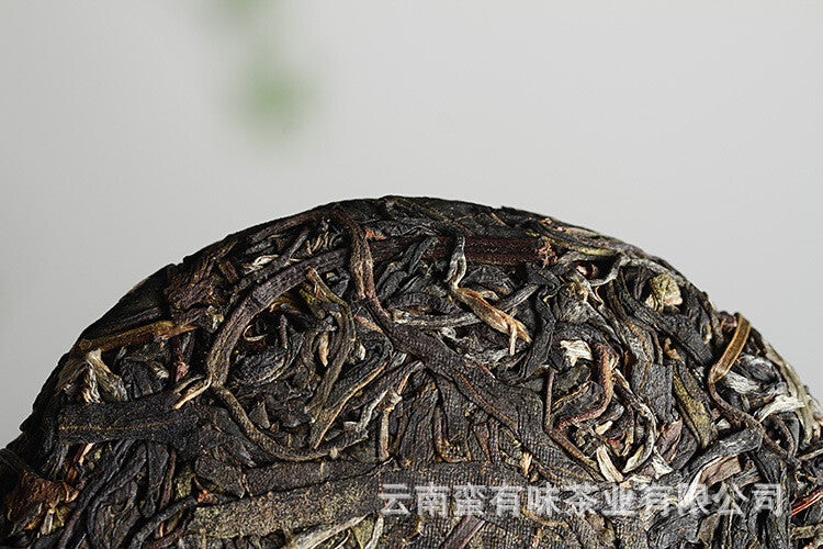 Pasha Small Cake 100g 2021 Big Tree Tea Puerh Raw Cake Yunnan Puerh Tea