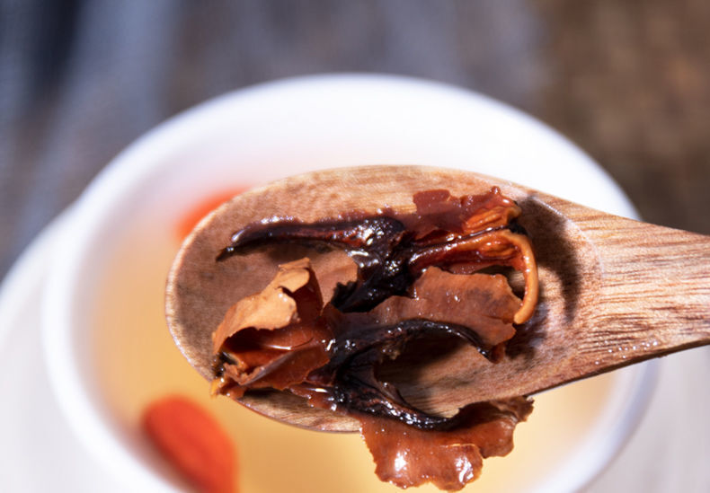 New Walnut Split Wood Chinese Herbal Medicine New Stock Walnut Split Wood