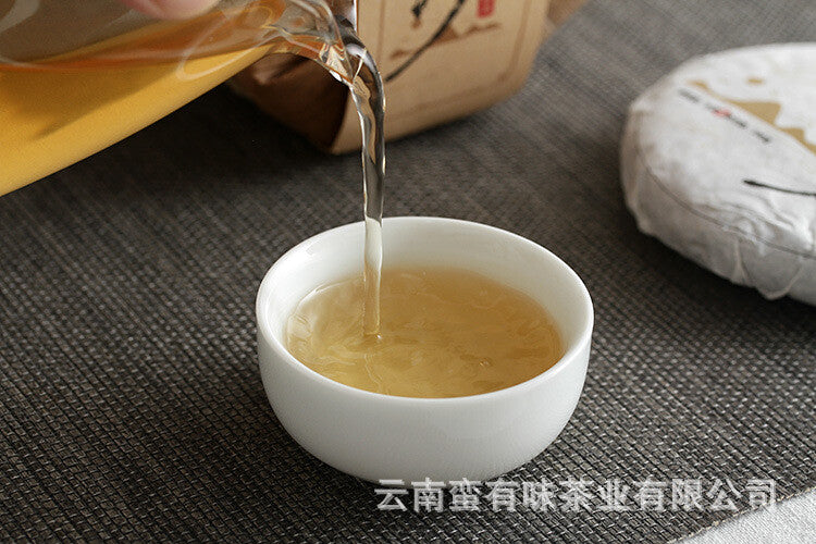Pasha Small Cake 100g 2021 Big Tree Tea Puerh Raw Cake Yunnan Puerh Tea