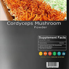 Cordyceps Mushroom Powder 17.6 oz | HELLOYOUNG