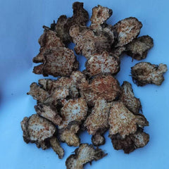 Wild Atractylodis Rhizoma, Rhizoma Atractylodis, Atractylodes Rhizome, Cang Zhu