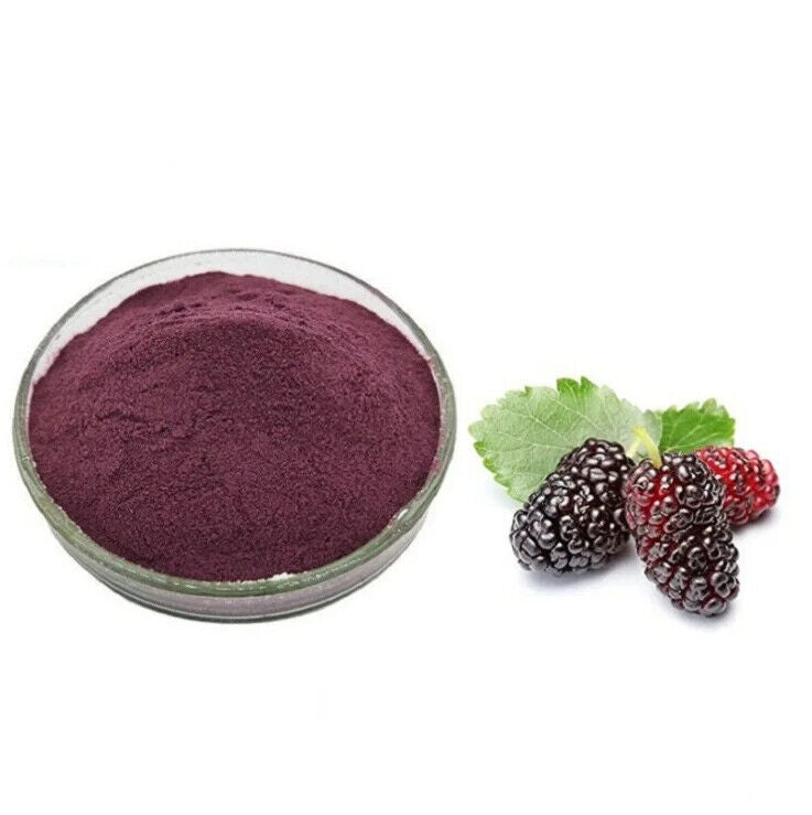 Mulberry Powder Mulberries Fruit Powder Extract ISO Certificate for Drink