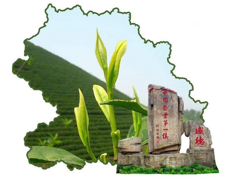 HelloYoung100g Chinese Fuding Silver Needle White Tea Bai Hao Yin Zhen Tea Health Care Tea