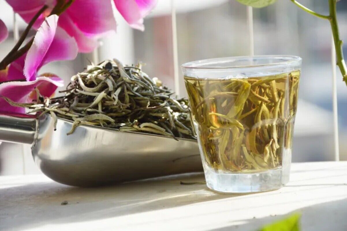 HelloYoung 2023 New White Tea Natural Organic Tea Baihaoyinzhen Silver Needle Tea 100g
