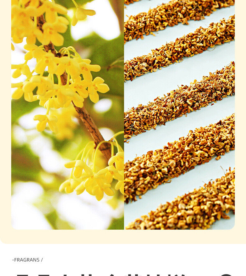 25g Osmanthus Tea Flower Tea 桂花茶 桂花干特产罐装 花茶