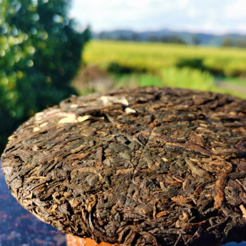 HelloYoung Original Old Tree Pu'er Tea Cake Healthy Drink Yiwu Gong Cake Pu'er Tea 357g