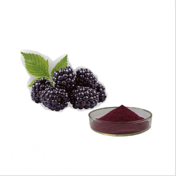 Mulberry Powder Mulberries Fruit Powder Extract ISO Certificate for Drink