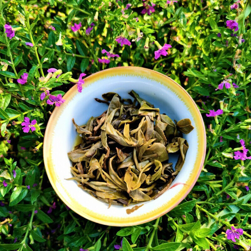 HelloYoung Health Care Natural Pu'er Tea Yiwuqingbing Organic Arbor Pu'er Tea 357g