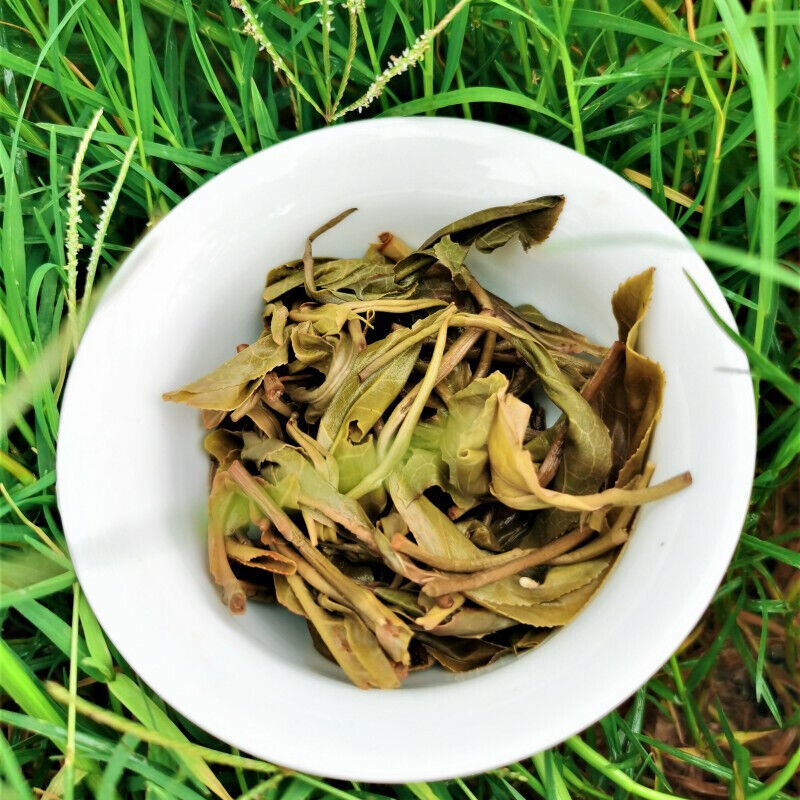 HelloYoung Zhonghong Yin Bow Ancient Tree Tea Yiwu Wanggong Pu-Erh Spring Tea Cake 357g