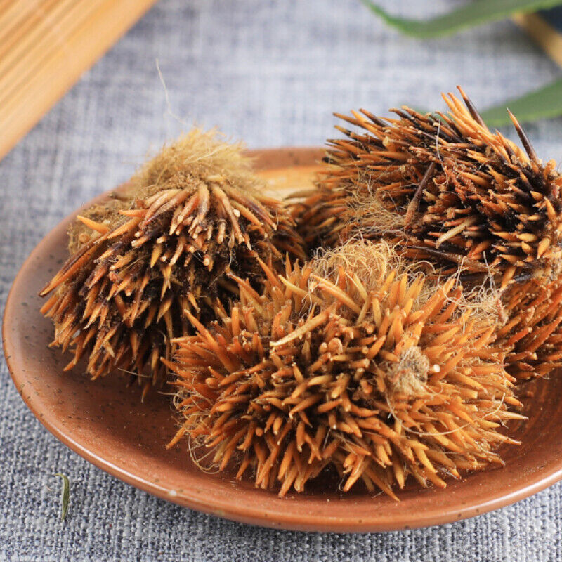 HelloYoung Ciweipi Healthy Care 100% Chinese Top-grade Authentic Hedgehog Skin 50g 正品刺猬皮