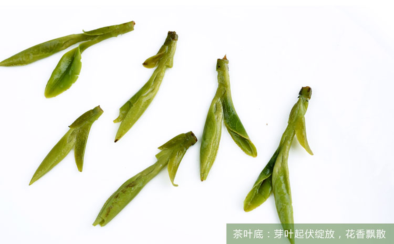 HelloYoung 50g Premium Spring Longjing Tea Green Tea Long Jing Tea West lake Chinese Tea