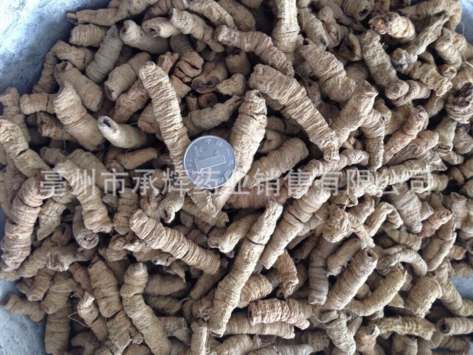 New Baji Tian Chinese Herbs Dried Baji 500g