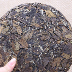 HelloYoung White Tea Cake Premium Jujube White Tea Lose Weigh Healthy Drink 350g Organic