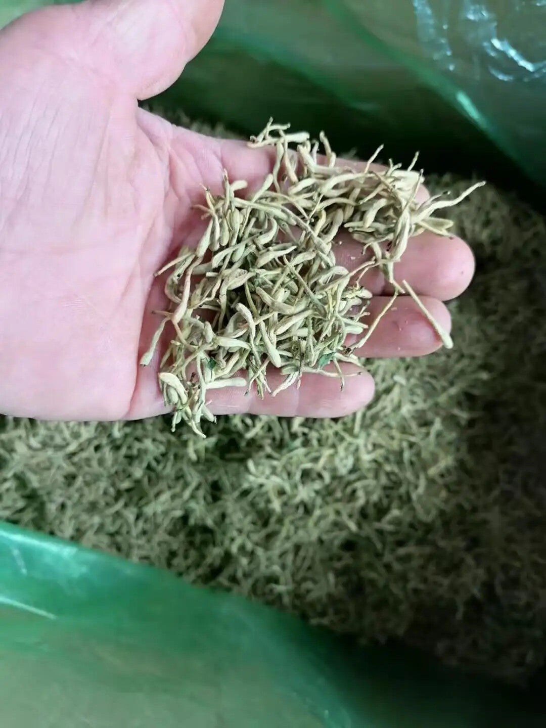 Raw Dried HONEYSUCKLE TEA FLOWERS for Blooming Tea 250g