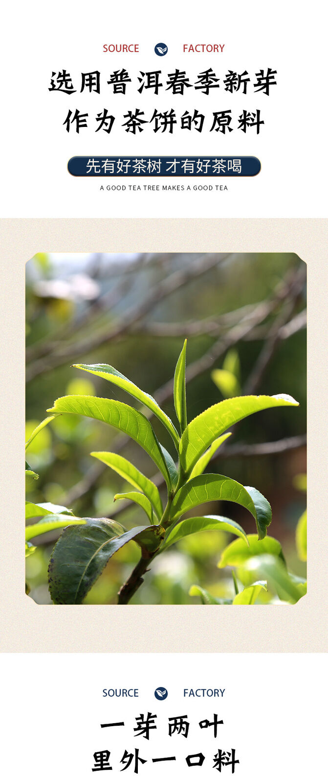 HelloYoung 357g Yunnan Pu'er Tea Cake Brown Mountain Raw Tea Ancient Tree Yunnan Tea Cake