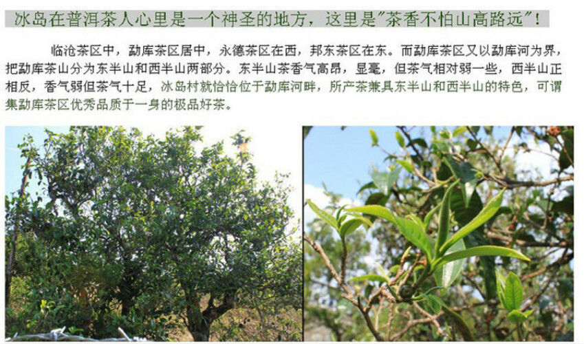 Handmade Pu-erh Tea 100g cha Pu'er Tea Ecology Old Tree Organic Green Sheng Puer