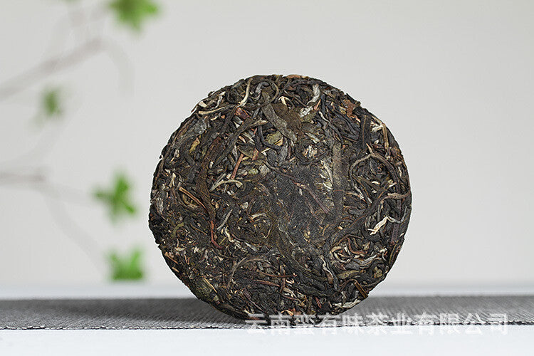 Pasha Small Cake 100g 2021 Big Tree Tea Puerh Raw Cake Yunnan Puerh Tea