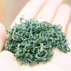 HelloYoung Alpine Yunwu Green Tea Wholesale Rizhao Fried Green Strong Tea 250g/8.8oz