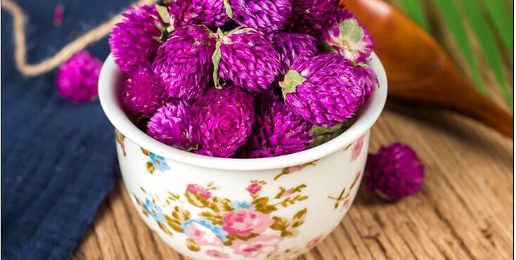 HelloYoung Flos Gomphrena Globosa Flower Tea Traditional Preserved Flower Tea