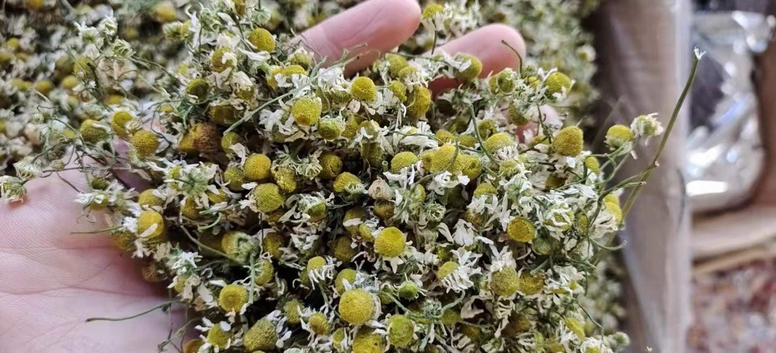 Herbal Tea Dried Chamomile Flowers Tea Bud Tasty Organic Chamomile Tea 500g