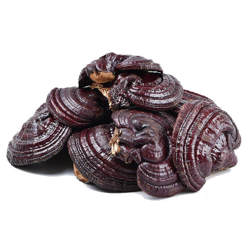 HelloYoung Ganoderma lucidum tablets in tea and soup Changbaishan wildlife infusion tea