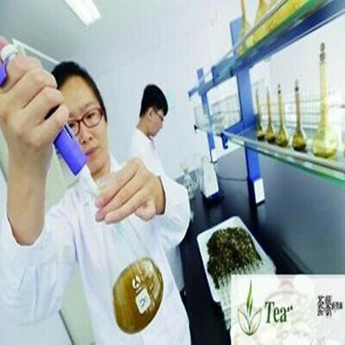 HelloYoung Taiwan High Mountains JinXuan Frangrant GreenTea Tieguanyin TeaChina Oolong Tea
