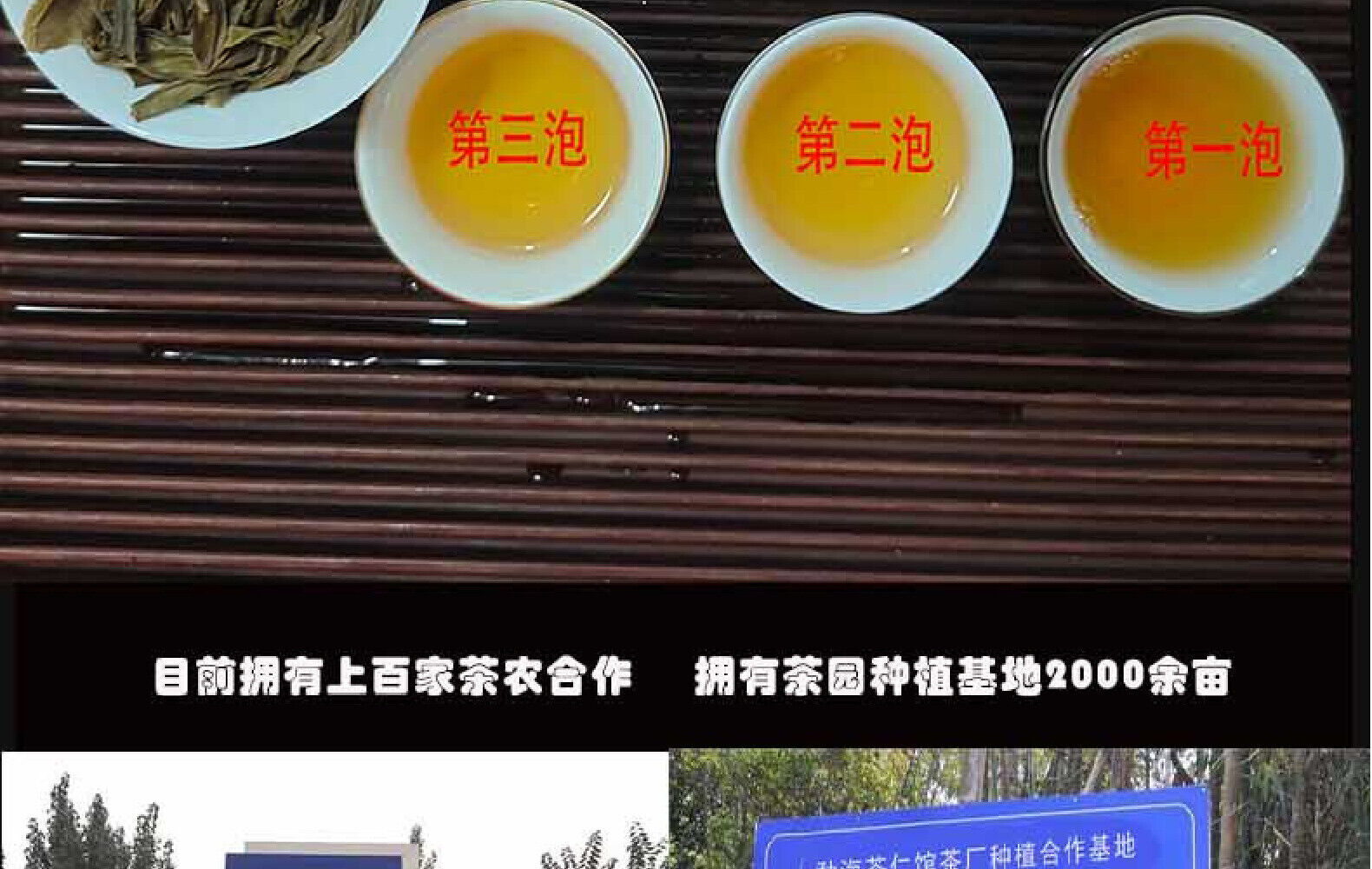 HelloYoung Yunnan Tea Nannoushan Head Spring Ancient Tree Pu'er Raw Tea 357g Cake Tea