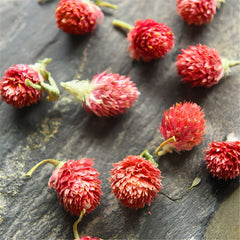 HelloYoung Herbal Tea Qian Ri Hong Flowers Tea Pure Natural Bulk of Hongqiao Plum Blossom