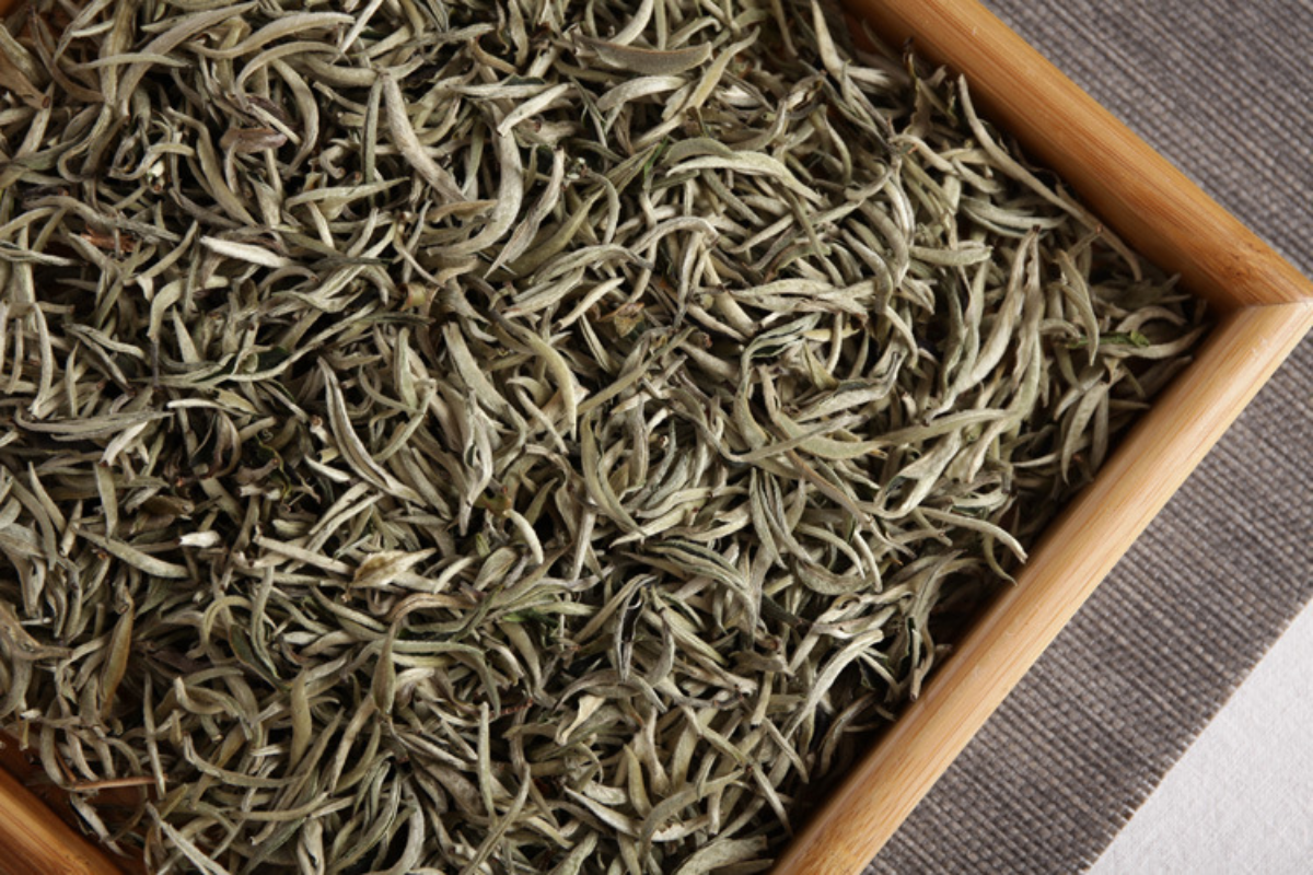 HelloYoung Pu'er raw tea white hair silver needle white hair single bud moonlight white tea