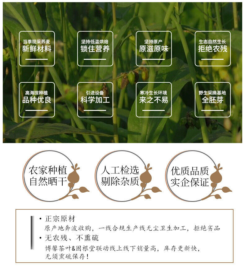Golden buckwheat tea natural barley flavor buckwheat tea strong flavor canned