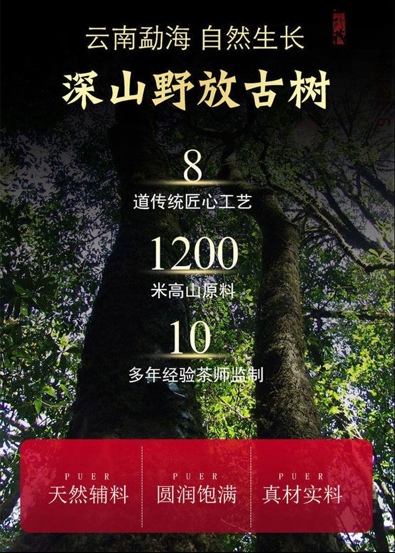 Yunnan Glutinous Fragrance Broken Silver Menghai Ancient Tree Puerh Ripe Tea250g