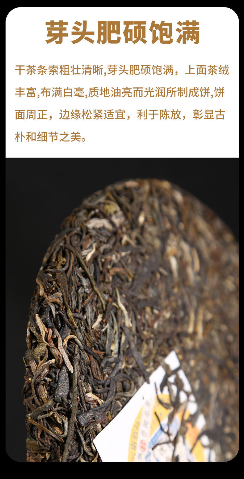 Yunnan Puerh Tea Raw Tea Iceland Dark Spice Ancient Tea Cake 357g