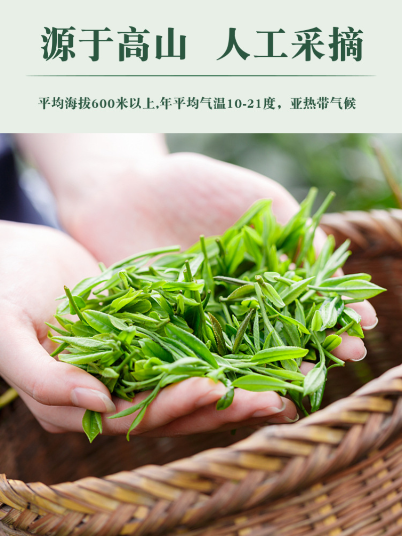 HelloYoung 1Kg Hunan Anhua Black Tea Golden Flower Porcelain Brick Tea Hand-built Raw Tea