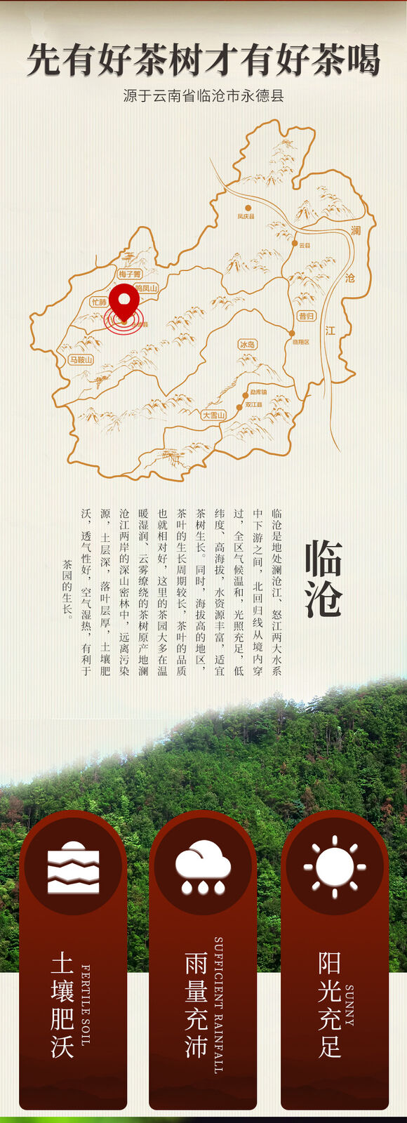 Tangli Spring Chenpi Pu'er Tea Mature Tea Citrus Puerh Tea Aged Tea Cake 160g