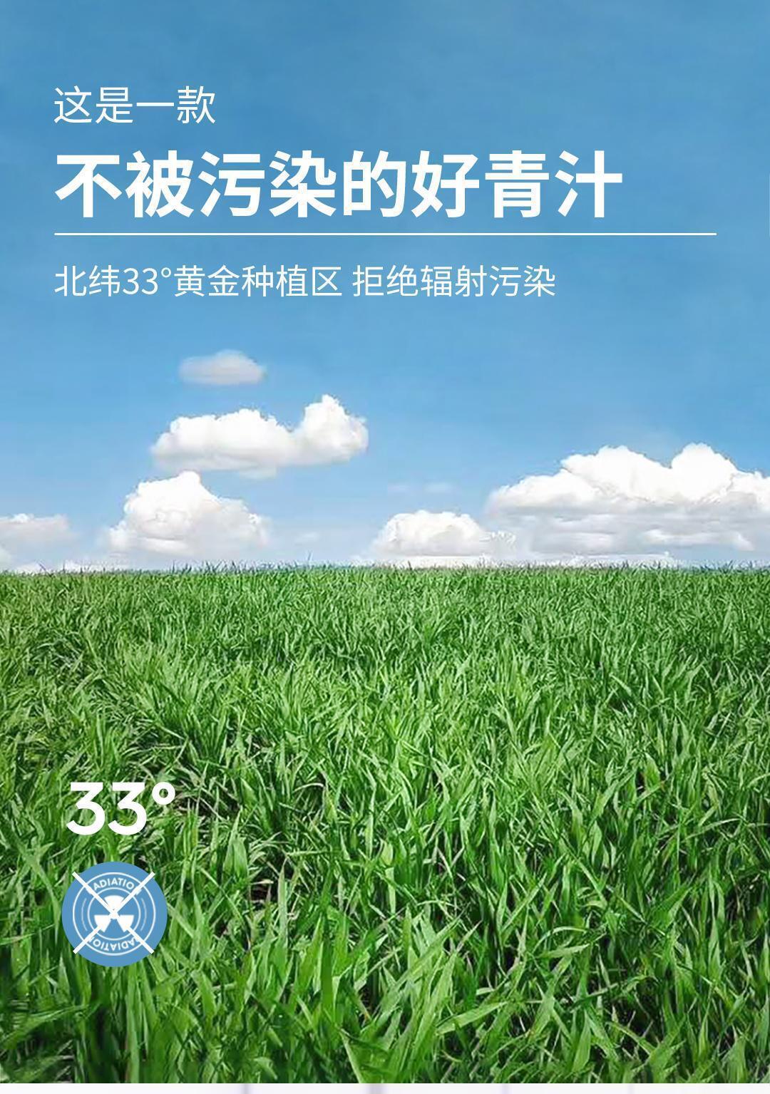 HelloYoung Daily Green Juice Probiotic Green Juice Barley Fine Seedling Powder Drink 75g