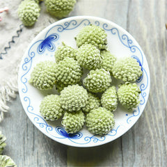 HelloYoung Green Flower Tea Snow Lily Tibetan Green Flower Tea Chinese Specialty Herbal tea