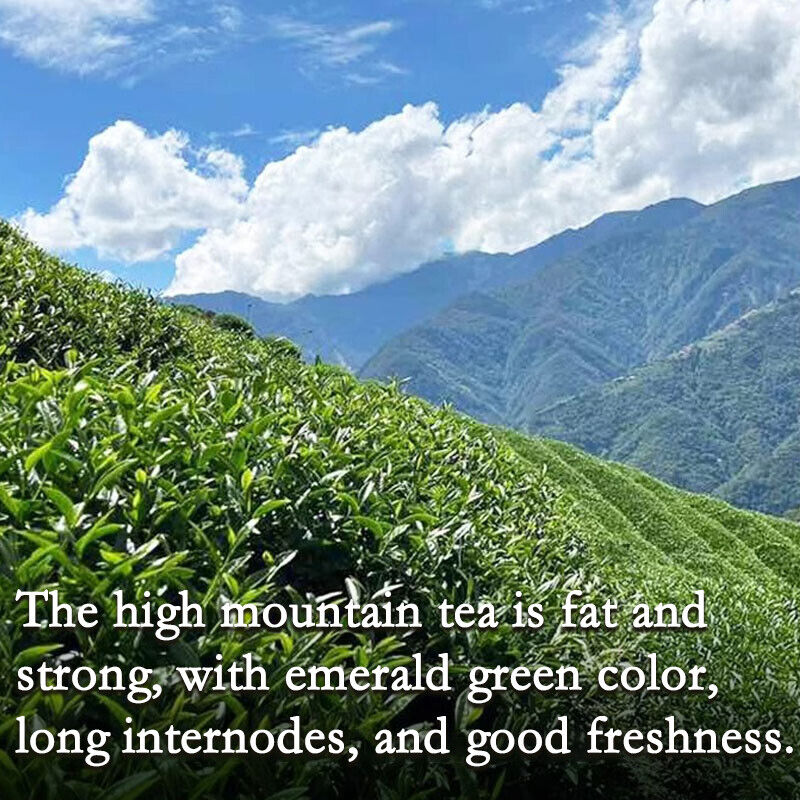 New Oolong Tea Milk Oolong Tea 250g Taiwan Jin Xuan Milk Oolong Tea Wulong Tea