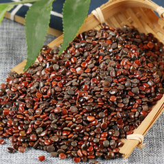 HelloYoung Chinese Specialty Zhijuzi Chinese Organic Herbs High Quality 250g/500g 枳椇子