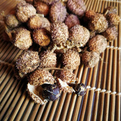 HelloYoung Chun Sha Ren Herbs Healthy Herbal Tea 100g 春砂仁 干果 广东煲汤 泡茶 泡酒养胃养生茶 调理肠胃